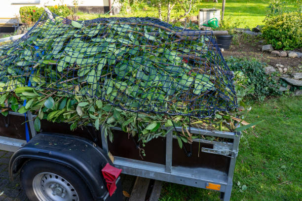 Best Recycling Services for Junk  in Santa Rosa, NM